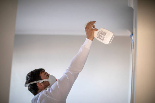 Best Professional Mold Removal  in Healdton, OK