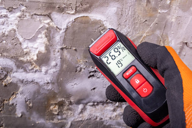 Best Mold Damage Repair  in Healdton, OK