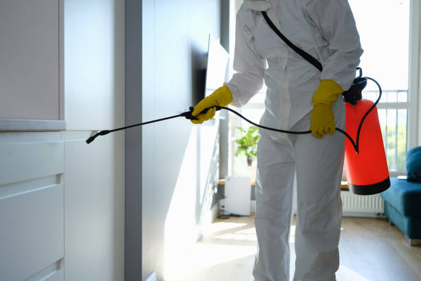 Best Mold Cleaning Services  in Healdton, OK