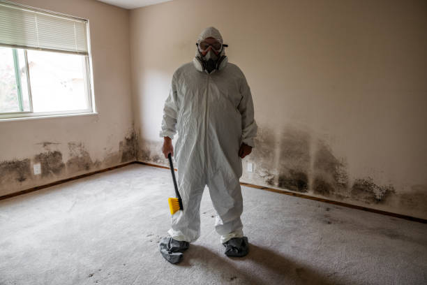 Best Crawl Space Mold Removal  in Healdton, OK